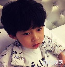 金沐杨资料,探寻艺术与生活的交融之美